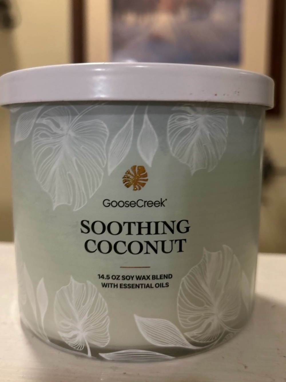 Soothing Coconut Candle - Sage Green